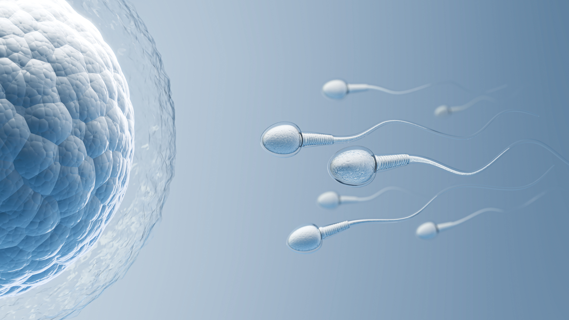 DFI Test for Male Infertility